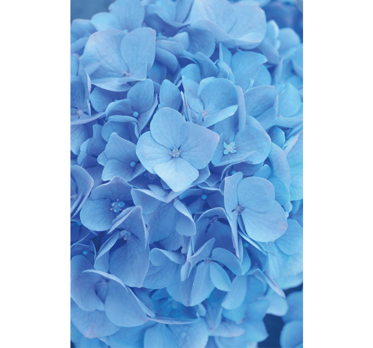 Papier peint floral fleur d'hortensia - TenStickers