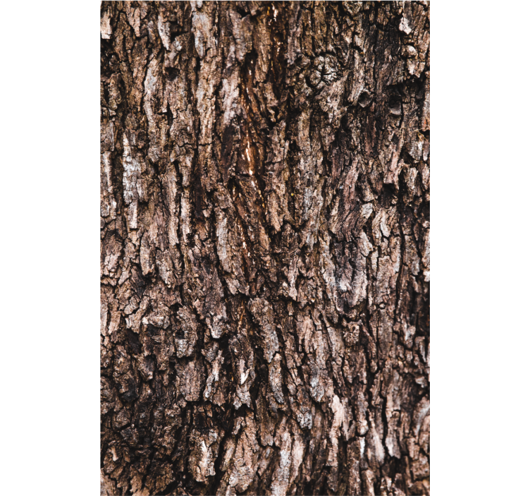 Papier peint chambre adulte écorce d'arbre réaliste - TenStickers