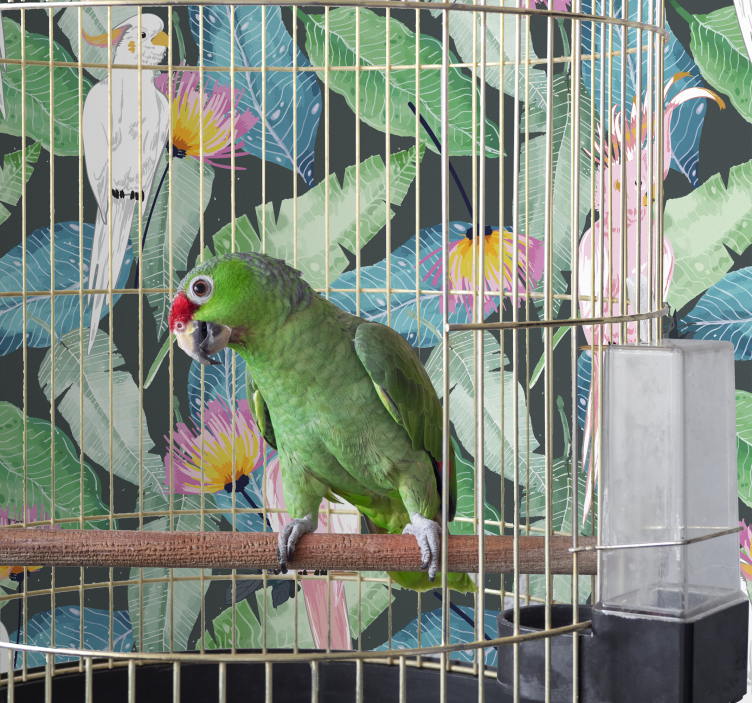 Papier peint oiseaux oiseaux tropicaux et feuilles - TenStickers